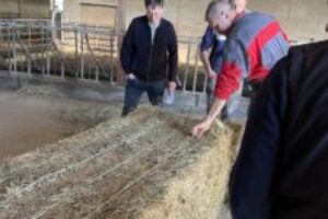IMG_1173 IMG_1173