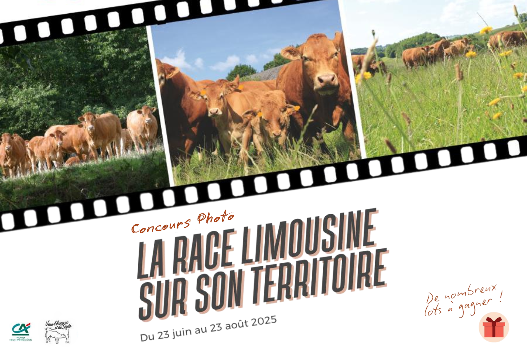 Modele site web pour photo article paysage