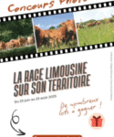 modèle Photo article site web (v2)(9)