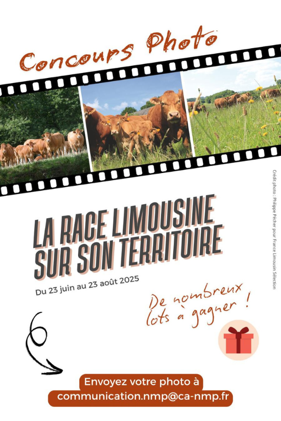 modèle Photo article site web (v2)(9)